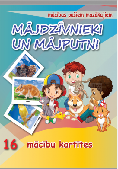 Kids Book Art.45491 Домашние птицы и животные.16 обучающих карточек