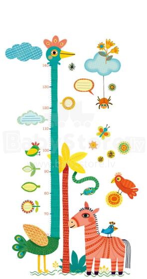 Djeco Art. DC90444 Height Chart