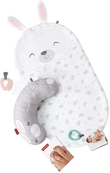 Fisher Price Bunny Massage  Art.GJD32