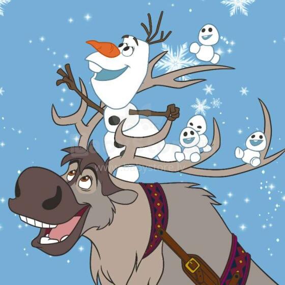 Faro Tekstylia Towel Disney Frozen Art.086
