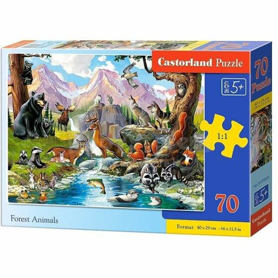 Castorland Art.B-070091 Bērnu puzle kastītē  70 elementi
