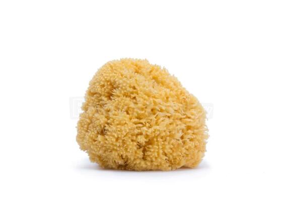 Suavinex Sponge Art.257282 Natural sea sponge