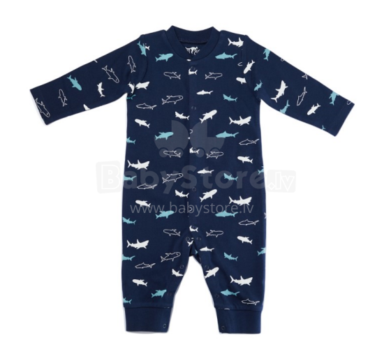 Cango Shark Art.KBSS-167