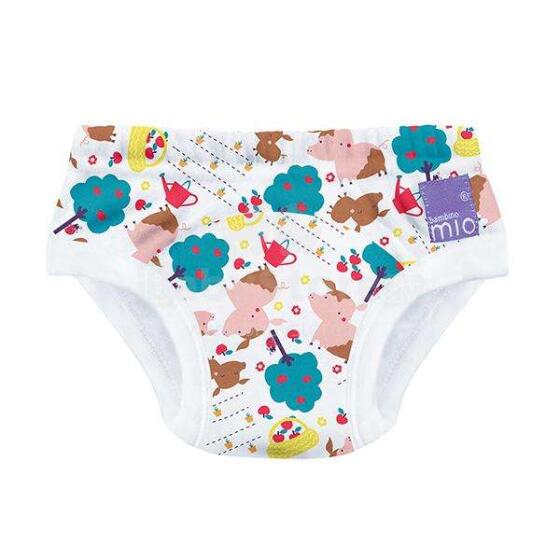 Bambino Mio TP 18-24 PUD Training Pants Fairy