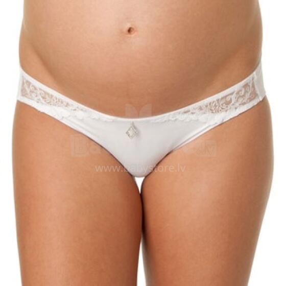 HotMilk 2013 Panties  Iridescent
