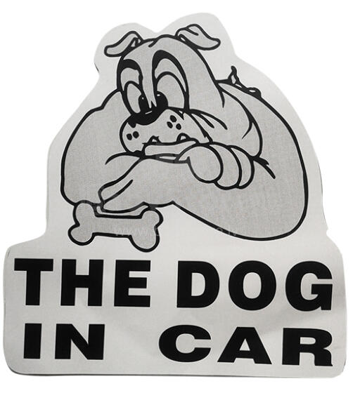 The dog in car Art.47669