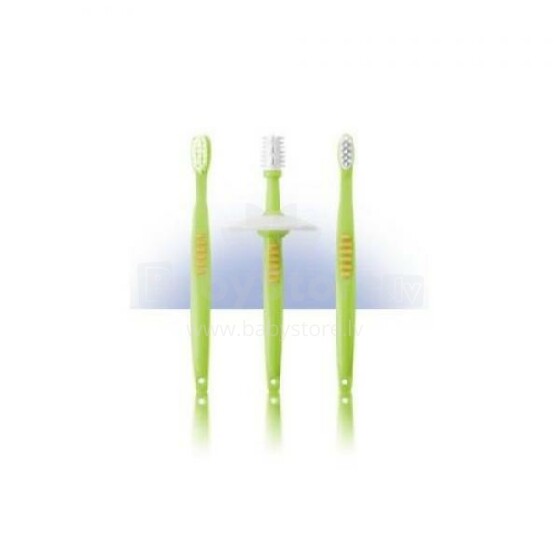 REER Beginners Toothbrush Set with safety plate 7903 bērnu zobu birstīšu ar aizsardzību komplekts