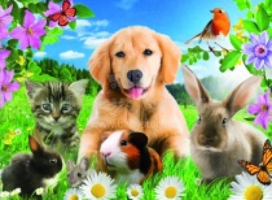 Ravensburger Art.14257 Puzzle Friends 500psc.