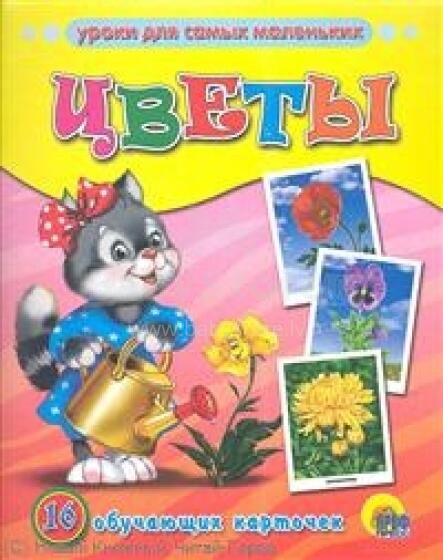 Уроки для самых маленьких.