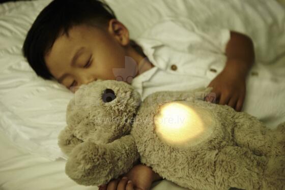Cloud B Art. 7404-ZZ Glow Cuddles™ Bear