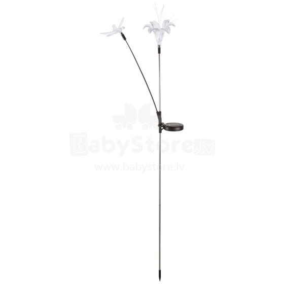 Globo Solarlampe 33949