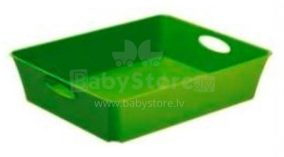 Rotho Living C5 Art.250008 Sand container, green 26.4x21.2x6cm