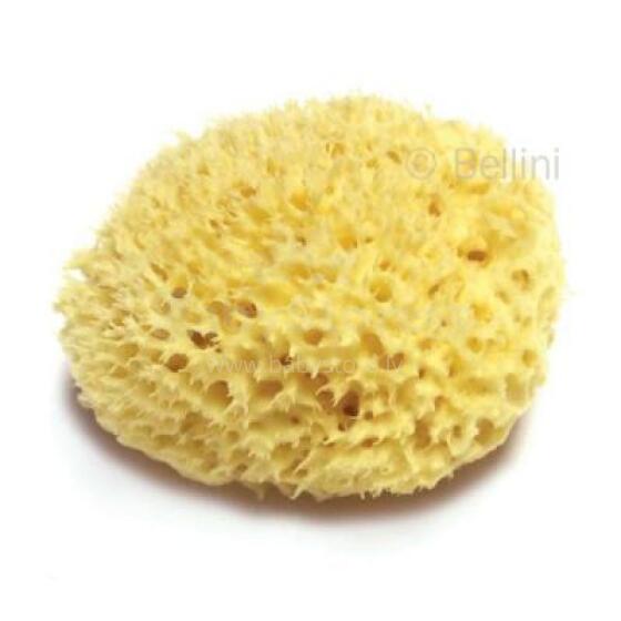 Bellini  Nat. Sea Sponge Honeycomb №8
