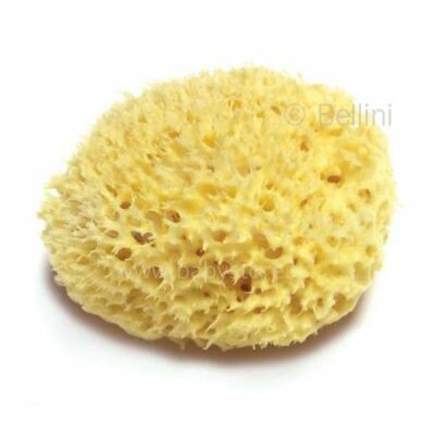 Bellini  Nat. Sea Sponge Honeycomb №12 Губка натуральная морская детская