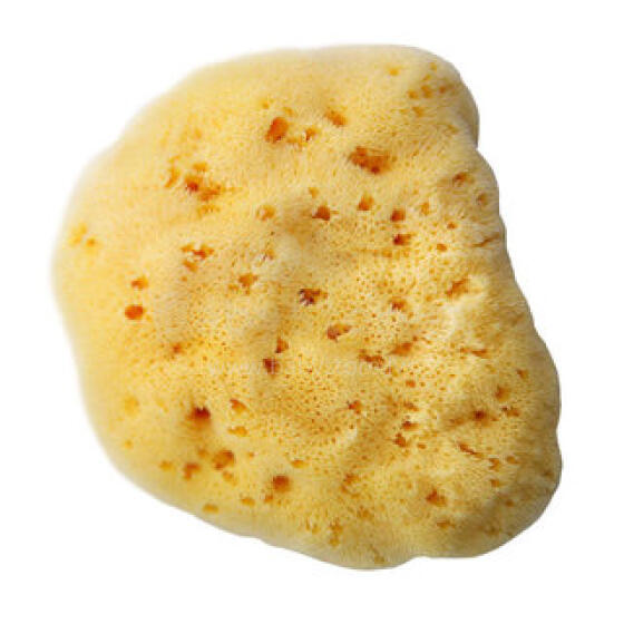 Bellini  Natural Sea Sponge Silk Fine №14