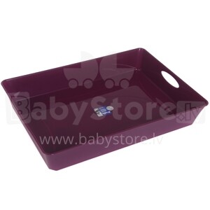 „Rotho Basket Living C4“ 250004 smėlio dubuo, violetinės spalvos, 37,5x26,6x6cm