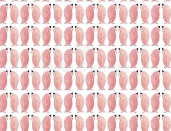 La Millou Art. 83943 Bamboo Muslin Penguin Pepe