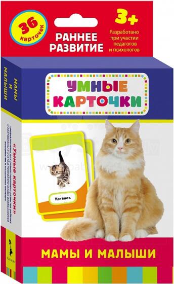 Раннее развитие Art. 9917