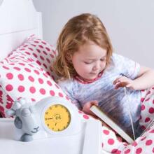 Zazu Sam Sleeptrainer  Art.ZA-SAM-01 Grey