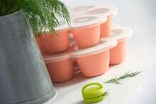 Beaba Multiportion Art.912595