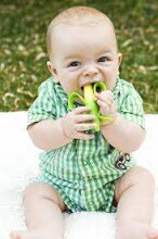 Baby Banana dantų šepetėlis kukurūzams. CORN001 kramtomas dantų šepetėlis