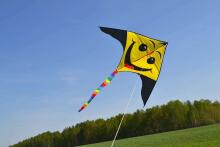 I-Toys Kite Art.A-0253