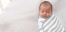 Summer Infant Art.56356 SwaddleMe Cahoots