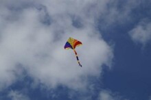 Hall Air Kite Art.111375 Lidojošais gaisa pūķis