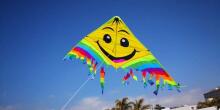 Hall Smile Art.111378