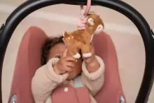 Little Dutch Pull-and-shake Deer Art.9013 Fairy Garden  Подвесная  игрушка на  коляску/кроватку с вибрацией