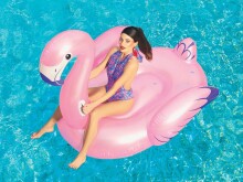 Bestway Flamingo  Art.32-41122  Inflatable mattress