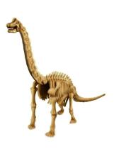 4M Kidz Labs Art.00-03237