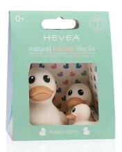 Hevea Kawan Family Duck Art.553175