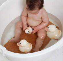 Hevea Kawan Family Duck Art.553175