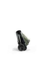 Joie Finiti buggie Signature Pine
