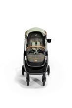 Joie Finiti buggie Signature Pine