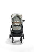 Joie Finiti buggie Signature Oyster