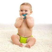 Born Free Tree Teether Art.46596