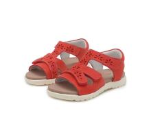 D.D.Step (DDStep) Art.AC055-63AM Coral