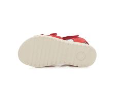 D.D.Step (DDStep) Art.AC055-63AM Coral