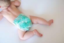 Pureborn  Organic Bamboo Art.121311 Ekoloģiskās biksītes  2 izmērs, 3-6 kg