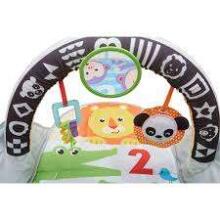 Fisher Price Flip And Fun Activity Gym  Art.FXC14