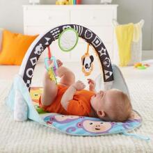Fisher Price Flip And Fun Activity Gym  Art.FXC14