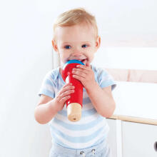 HAPE mikrofons Mighty Echo, E0337