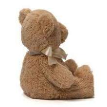 Gund My First Teddy Art.6055512