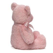 Gund My First Teddy Art.6055513