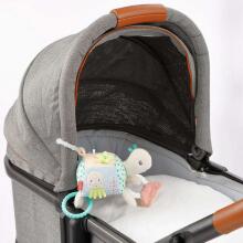 Fehn activity Turtle