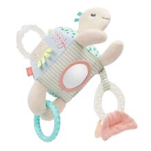 Fehn activity Turtle