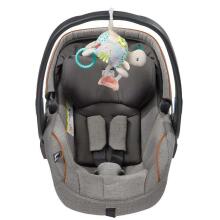Fehn activity Turtle