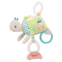 Fehn activity Turtle